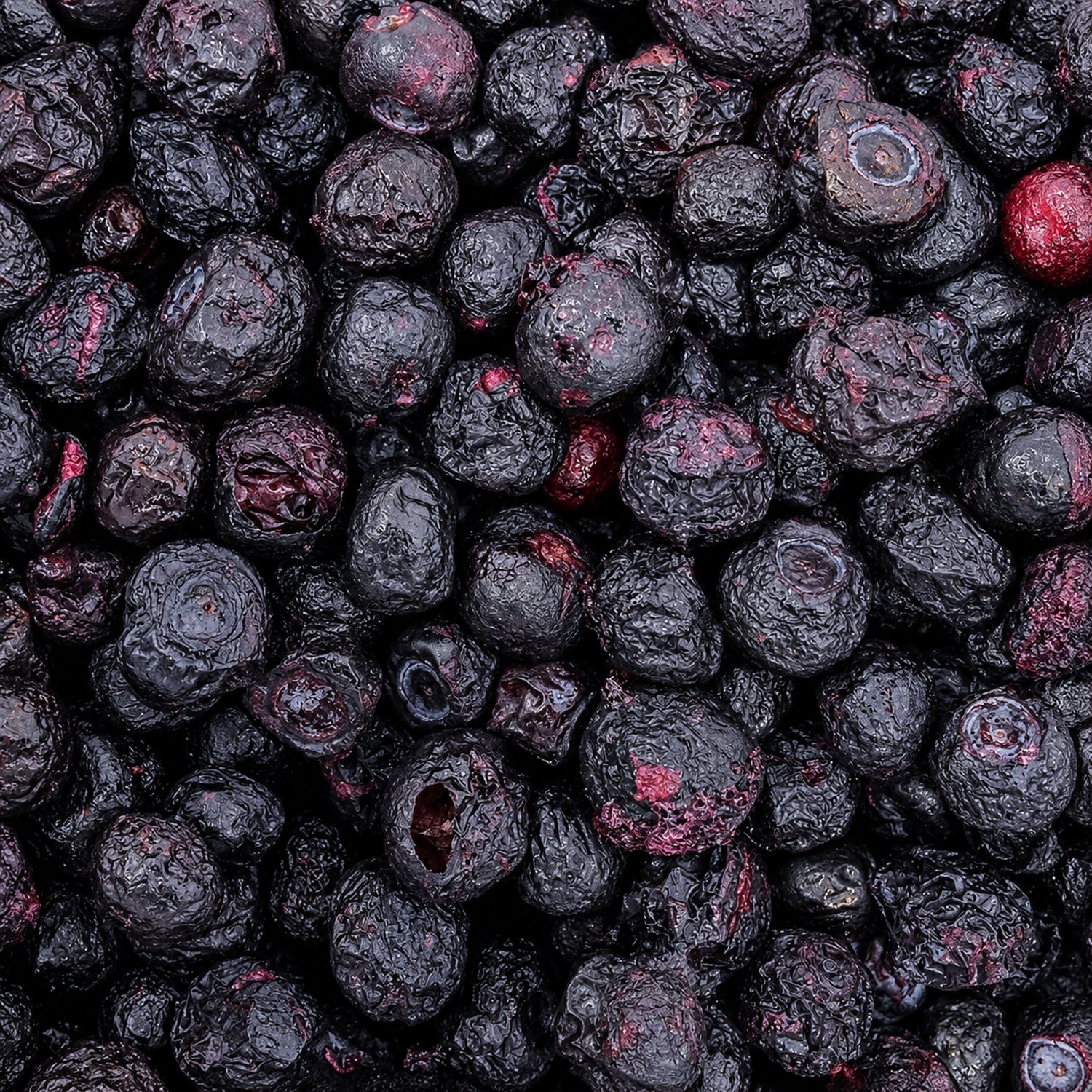 Freeze Dried Blueberry