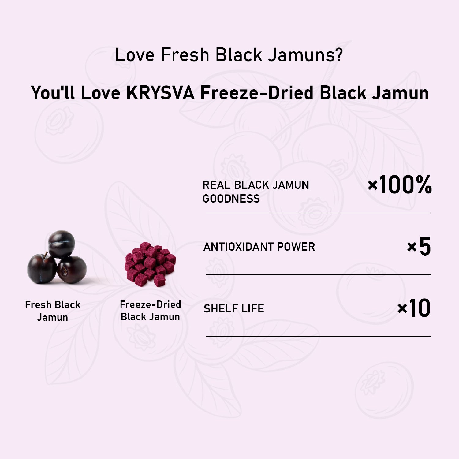 Freeze Dried Black Jamun